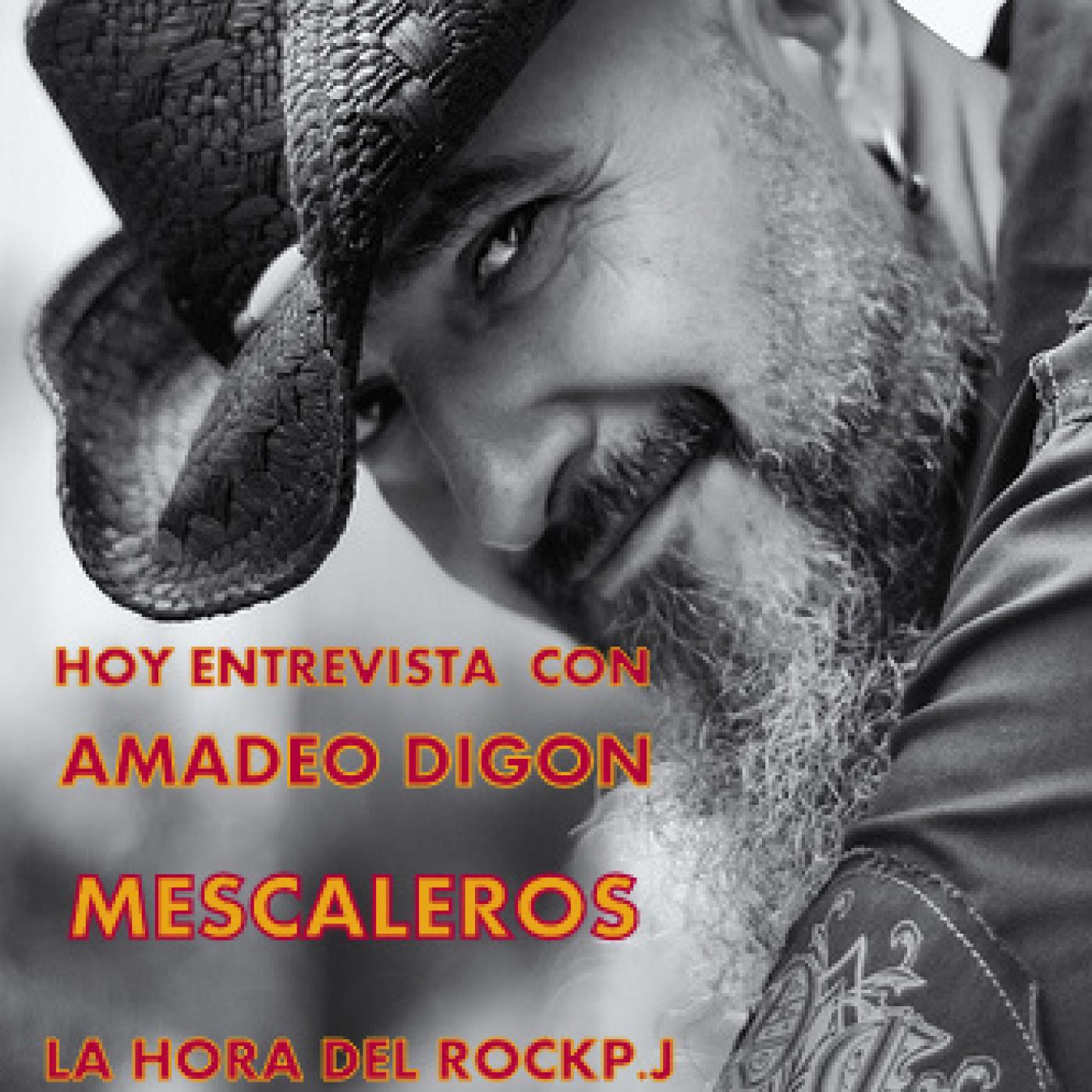 La hora del rock entrevistas 'amadeo digón  'Mescaleros'