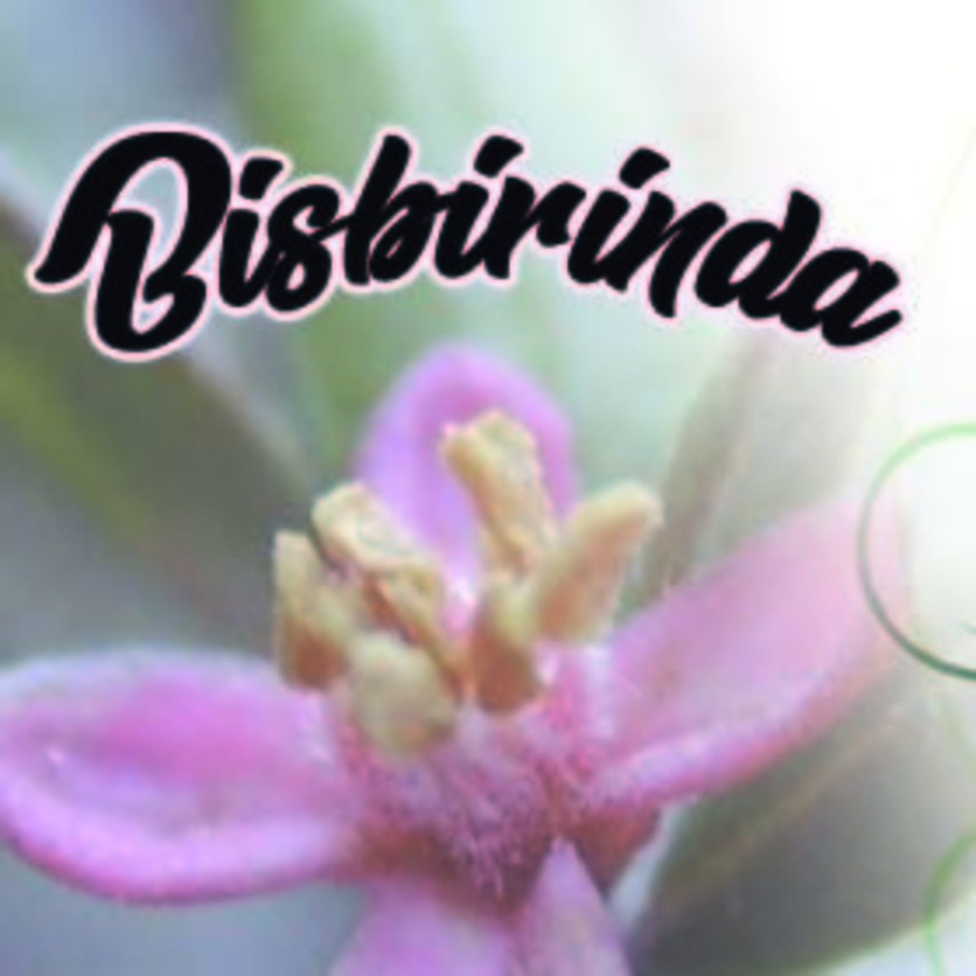 El Ángel de tu Salud - BISBIRINDA 1 episode artwork