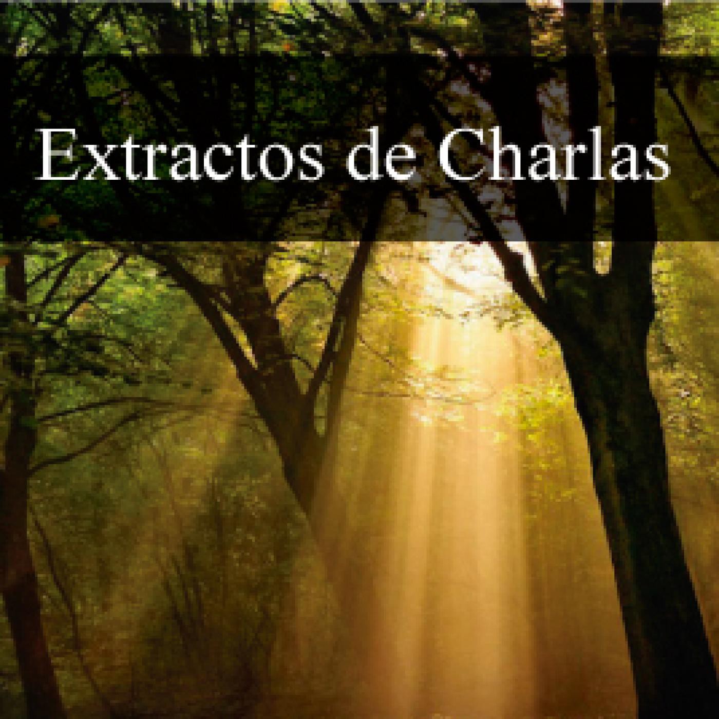 Extracto: QUE ES LA MENTE episode artwork