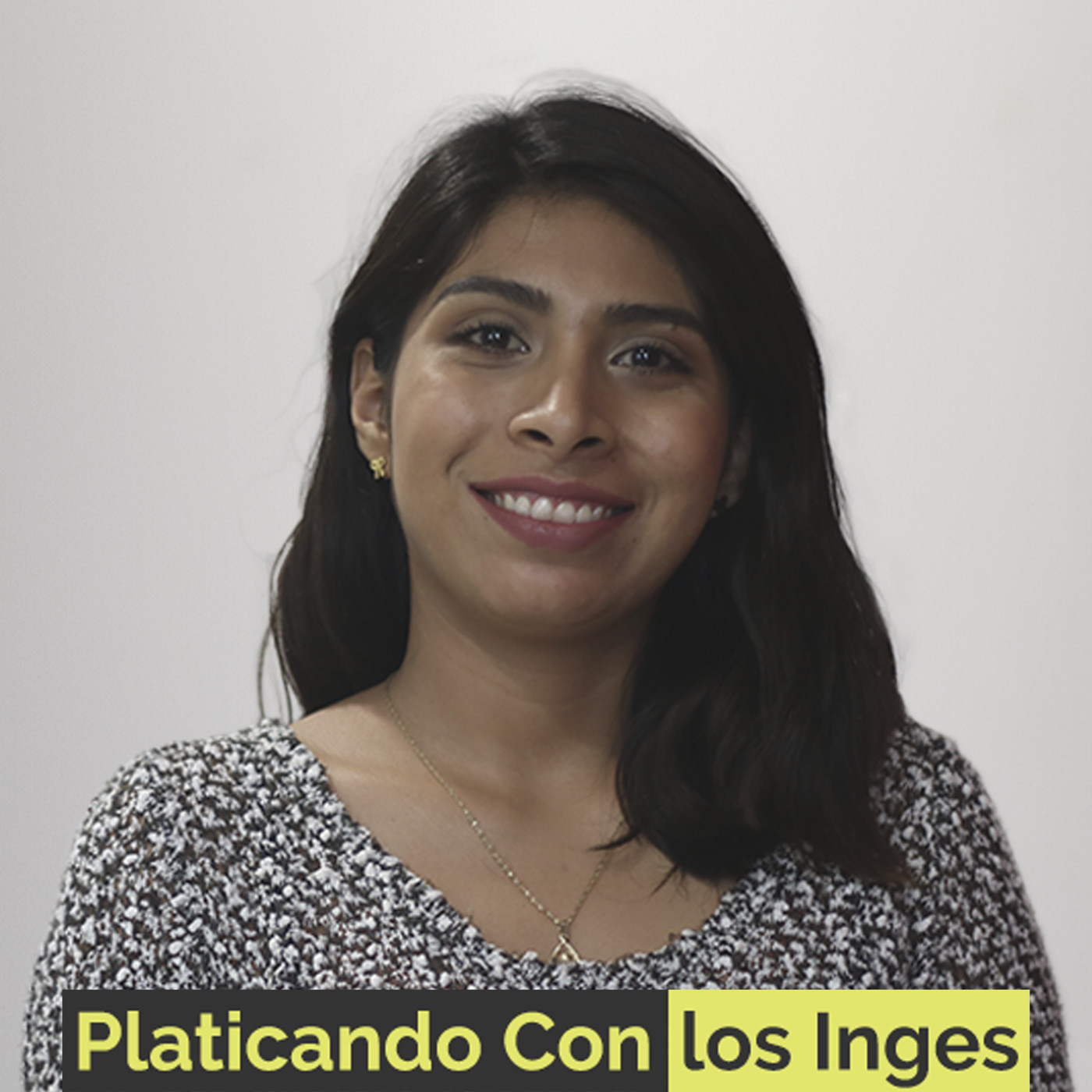 Platicando Con los Inges