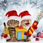 Os deseamos Feliz Navidad 2019!