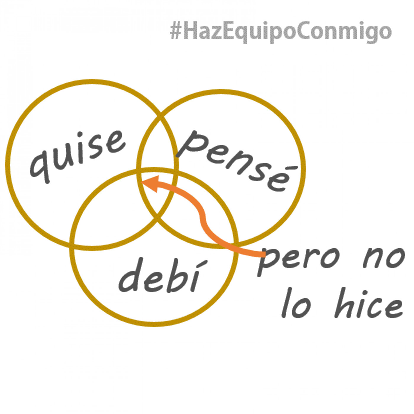 Zona de Seguimiento