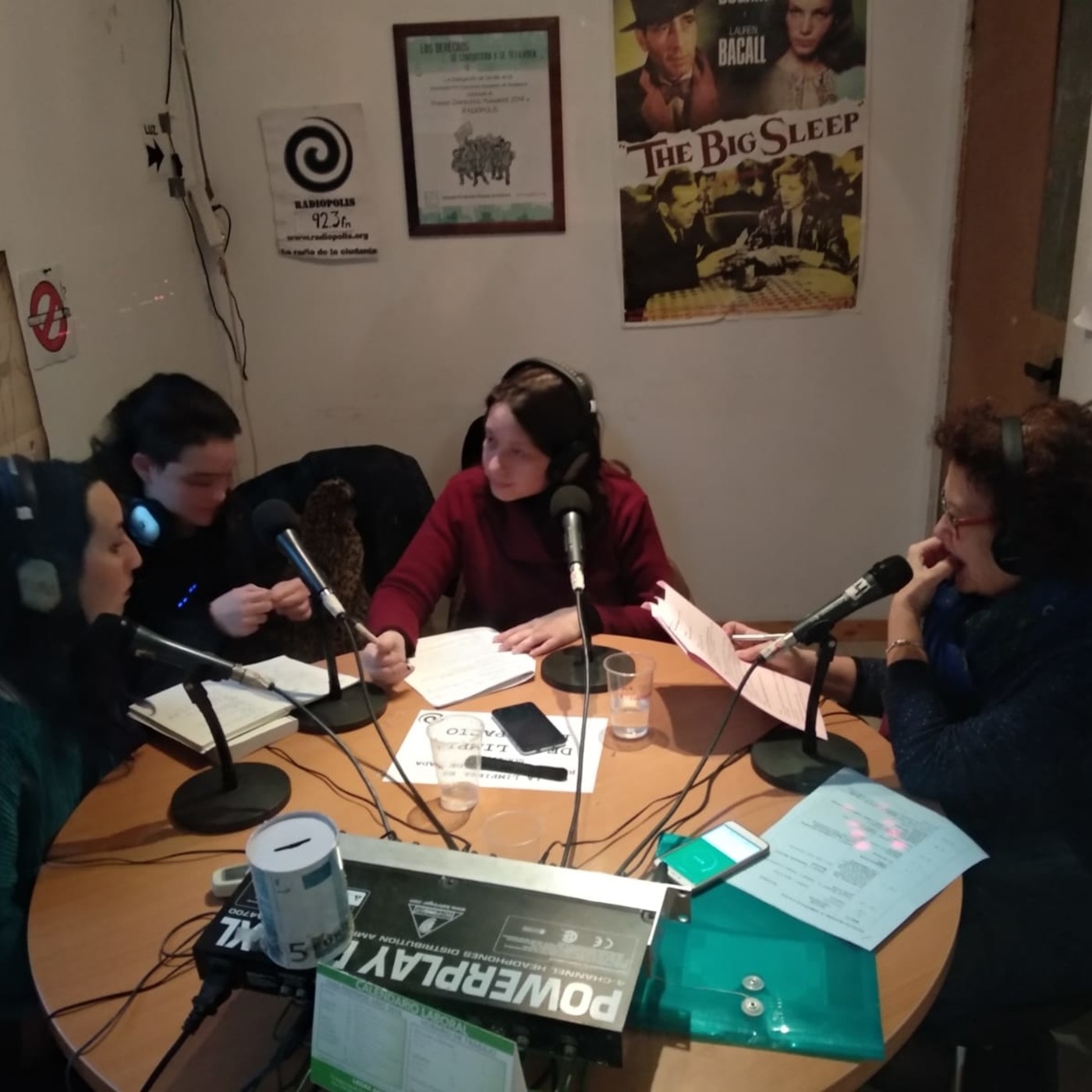 Feminópolis Programa