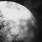 Recopilación De Historias De Terror Vol. 91