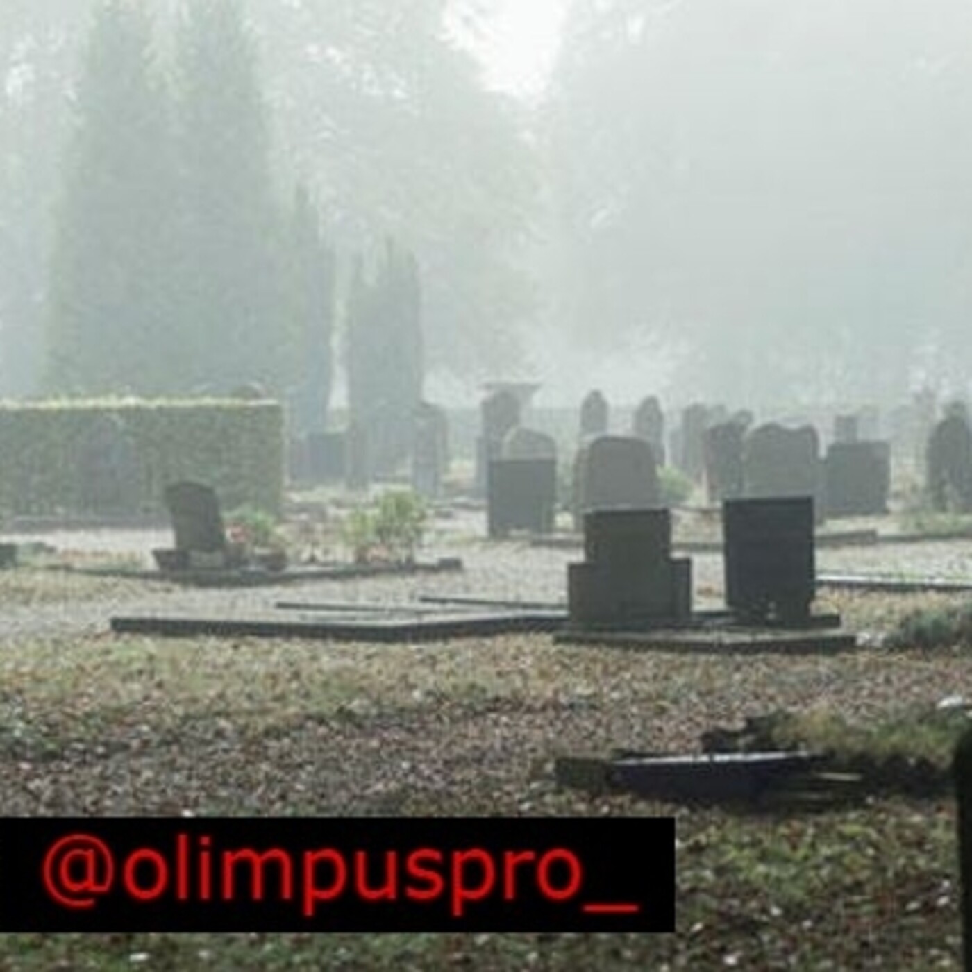 olimpuspro