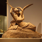embed image