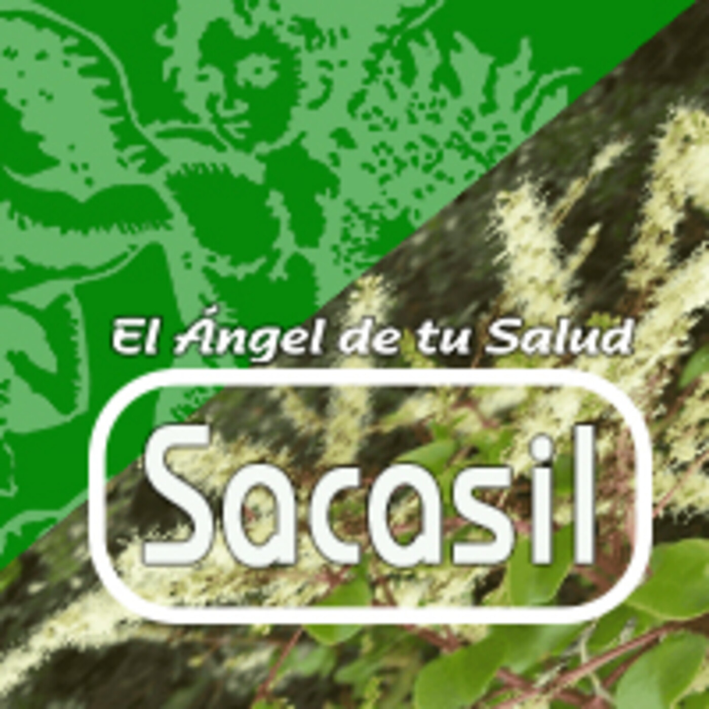 El Angel de tu Salud - SACASIL* episode artwork