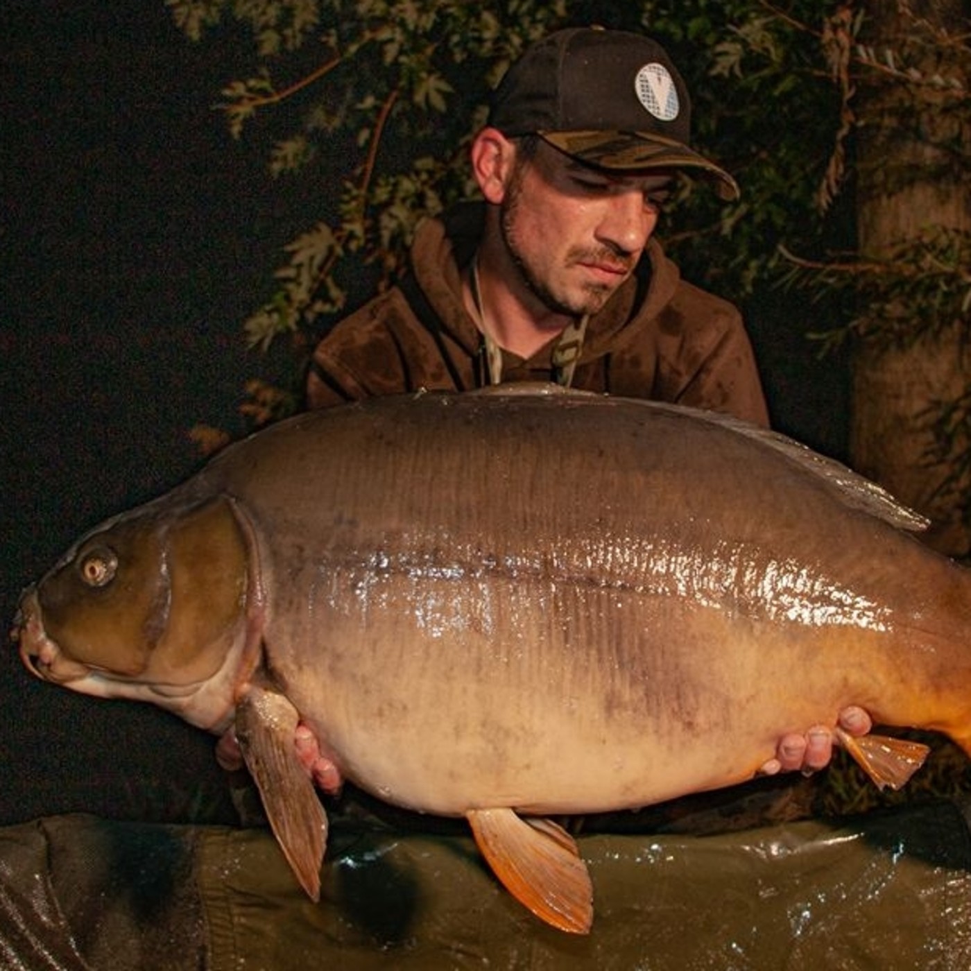 Rio de la Vida pesca