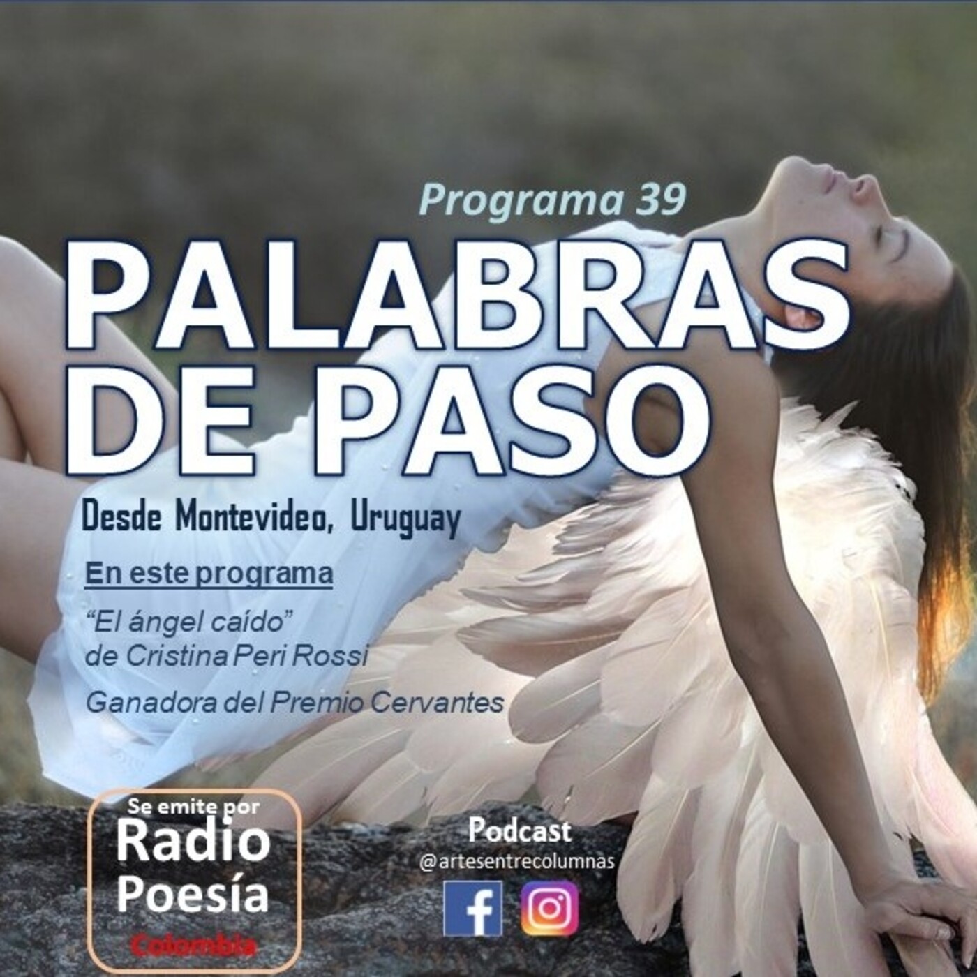 Palabras de Paso