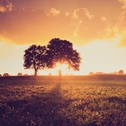 4. La PAC se viste de verde: el greening en el primer pilar - Agencia EFE