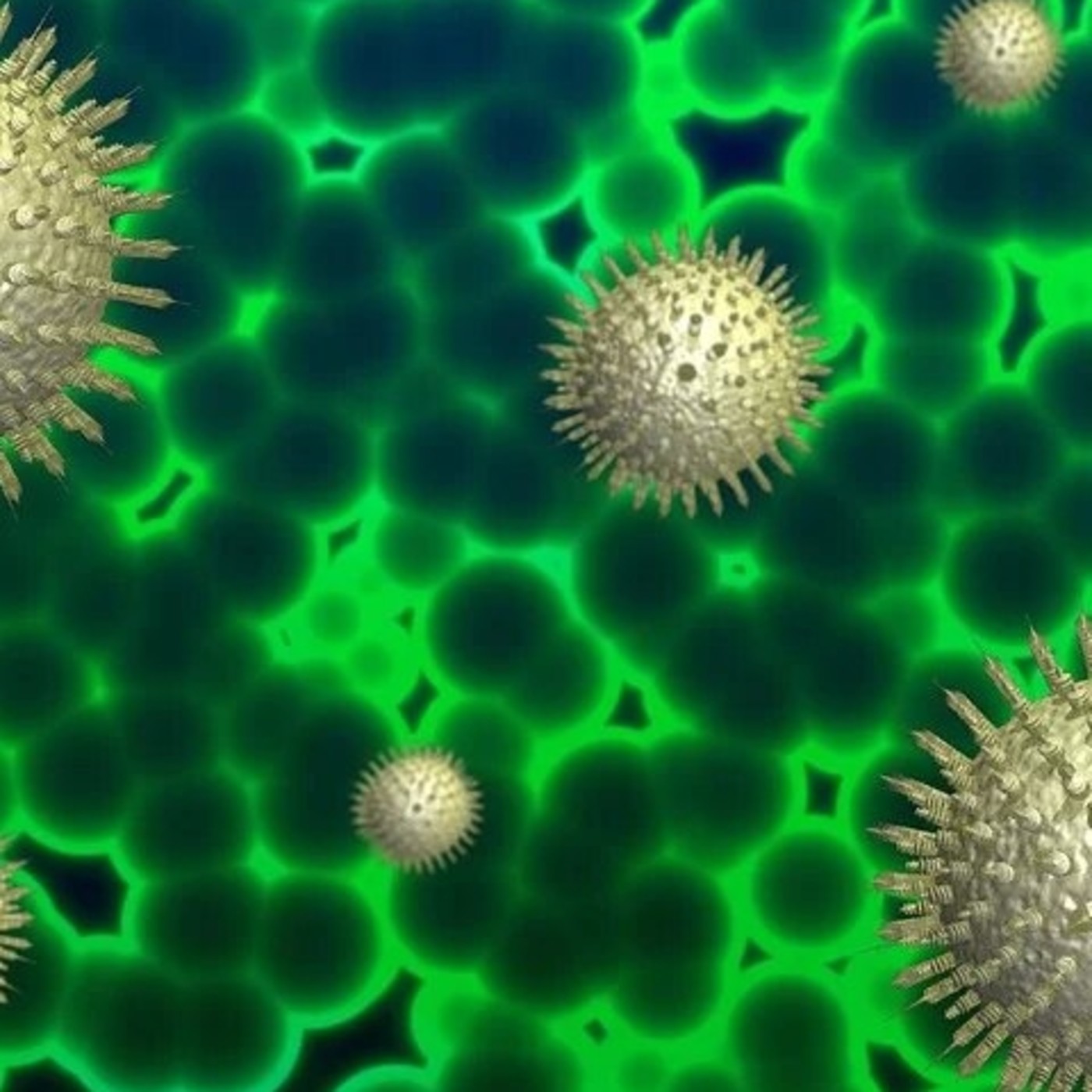 Especials coronavirus