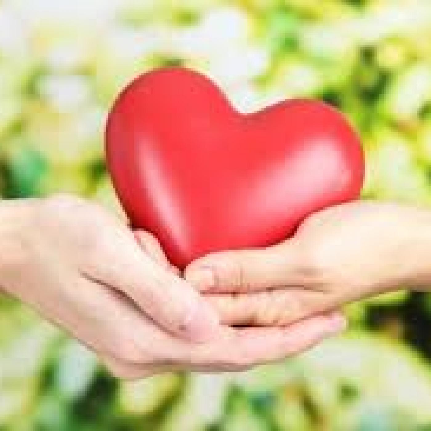 La Vía del Corazón