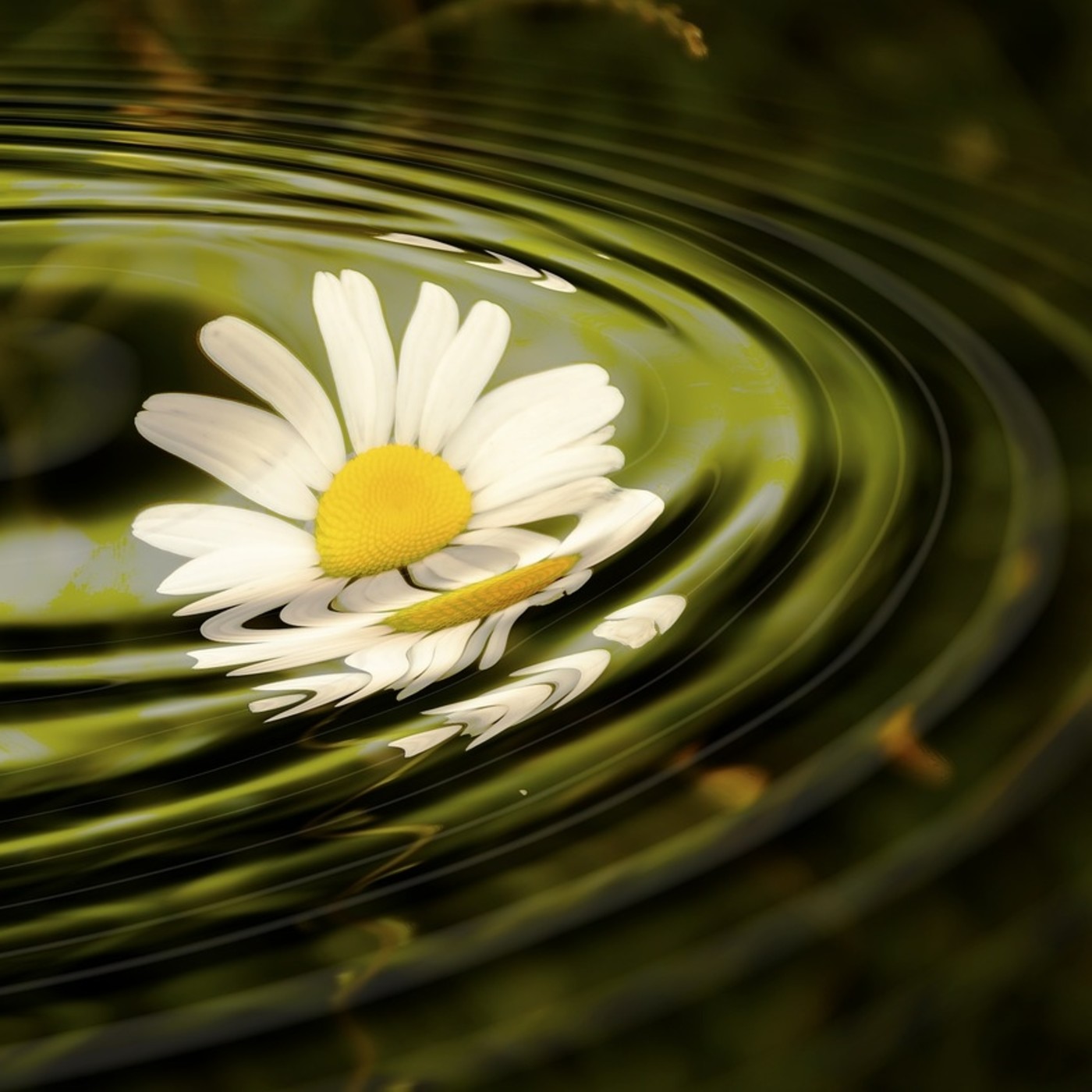 Meditaaccion