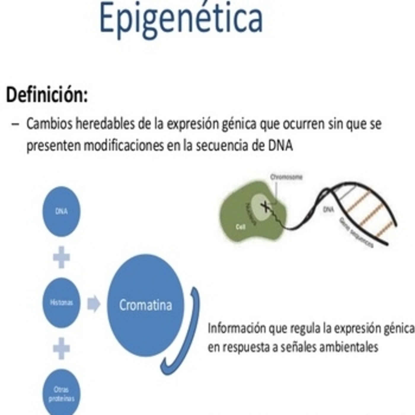 Tips conciencia :)