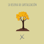 E43. Cómo funciona y qué es la Reserva de Capitalización?