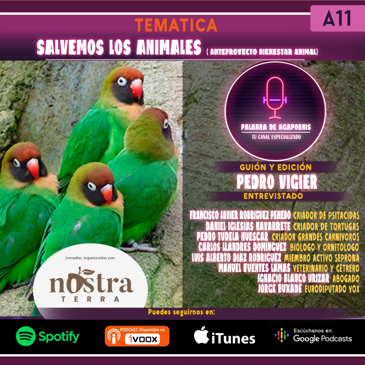 Palabra de Agapornis