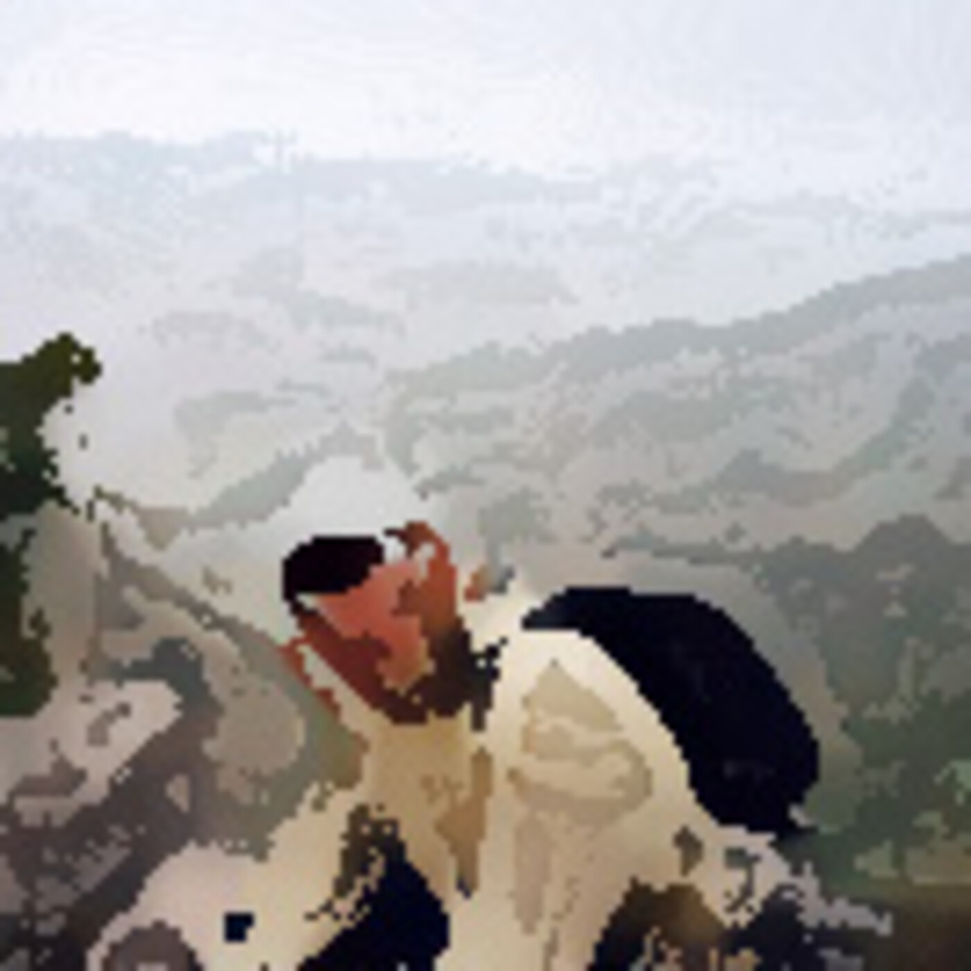 El Portavoz