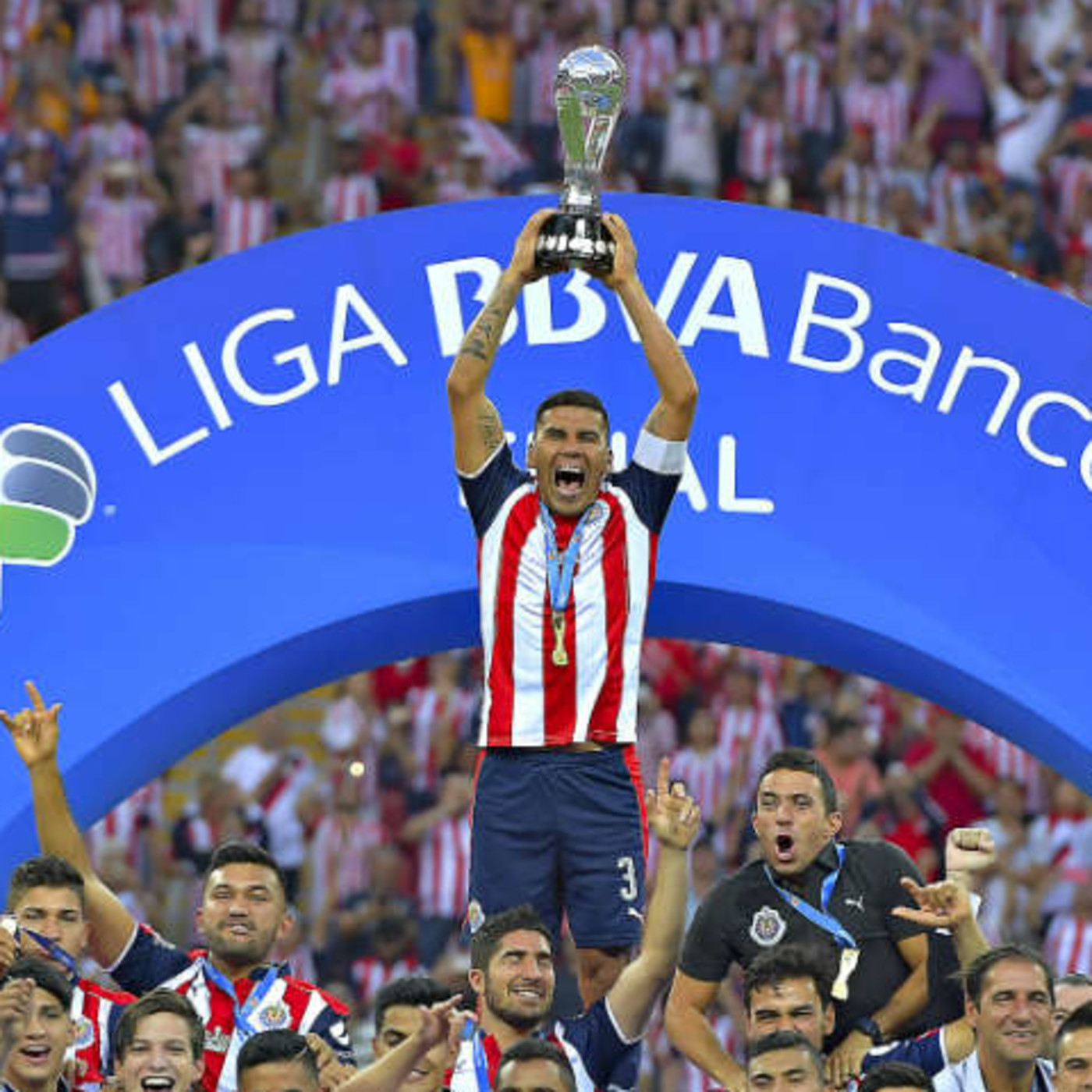 Desde las gradas