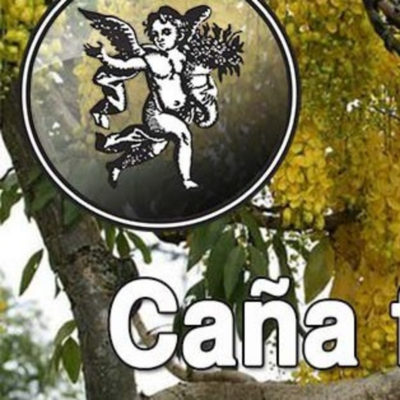 El Angel de tu Salud - CAÑA FISTULA episode artwork