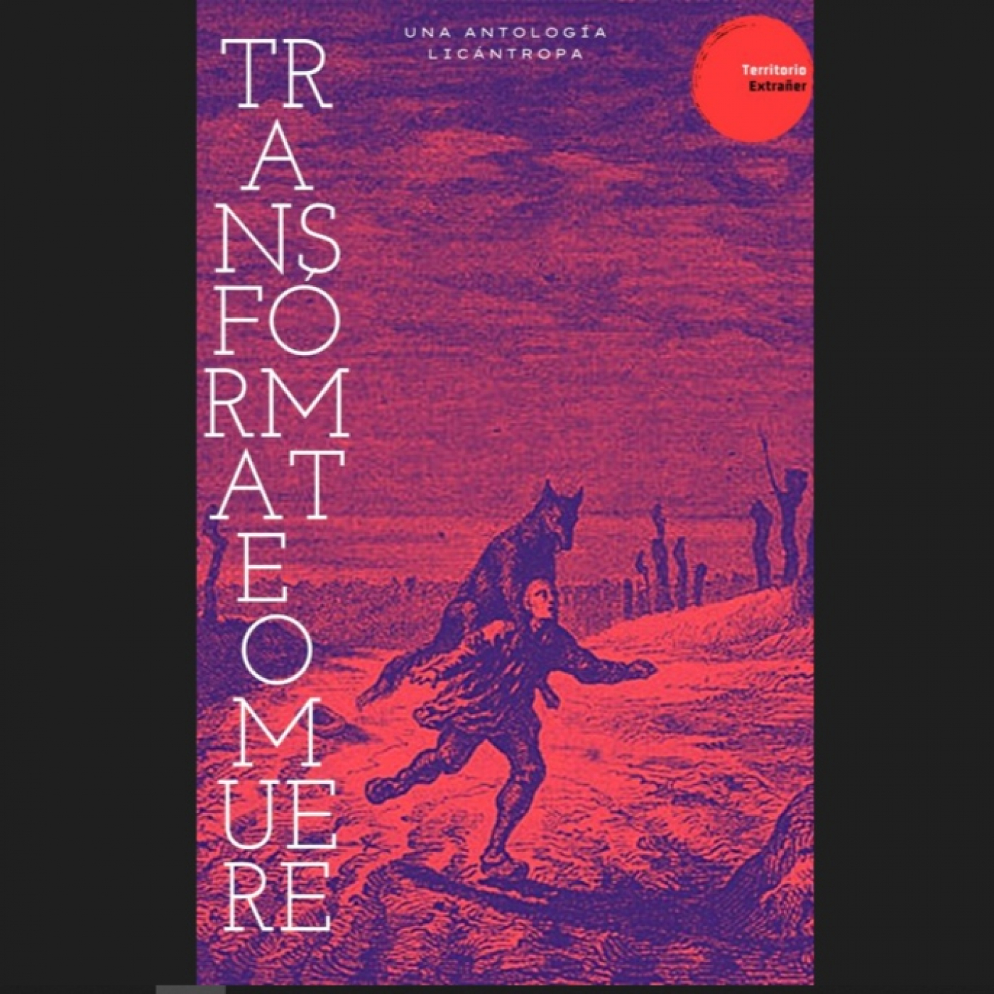 Territorio Extrañer