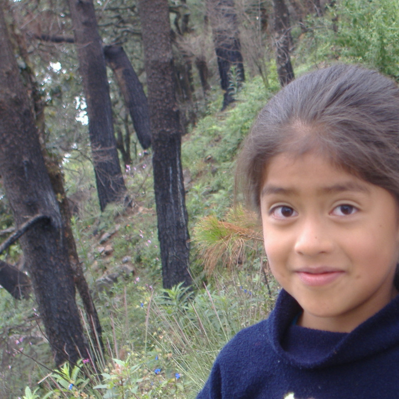 Mundos Rurales