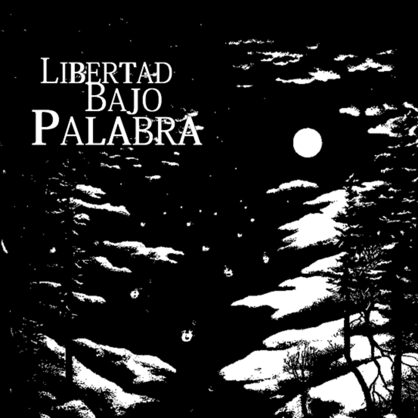 Libertad bajo palabra