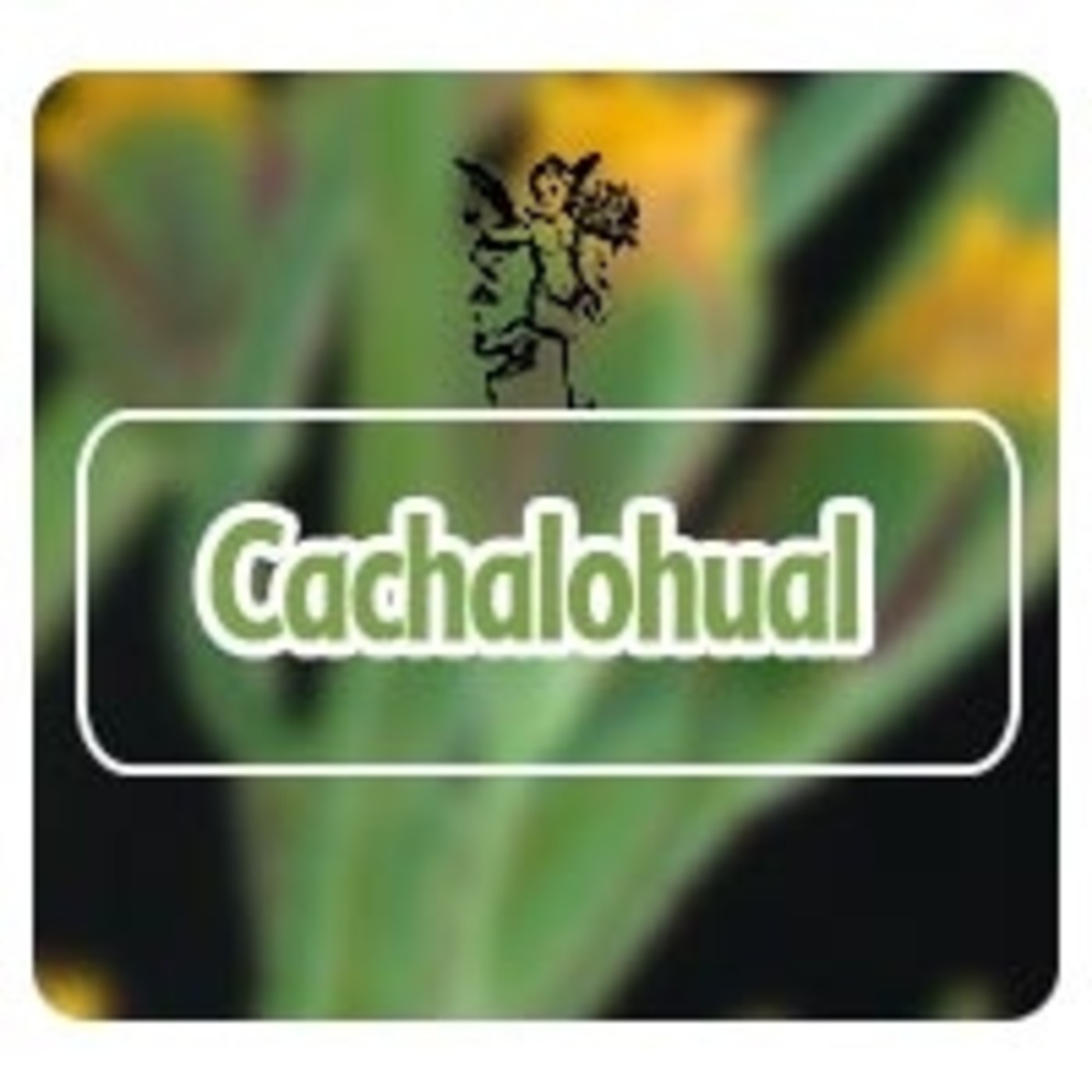 El Angel de tu Salud - CACHALOHUAL* episode artwork
