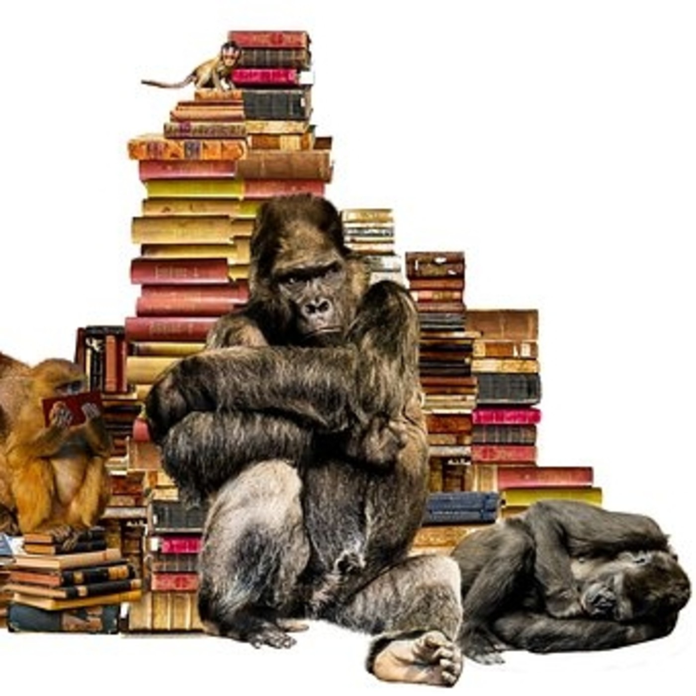 Truco de lectura rápida episode artwork