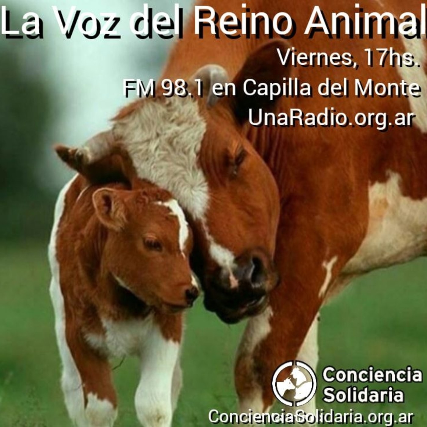 #LaVozDelReinoAnimal 24.01.2020 episode artwork