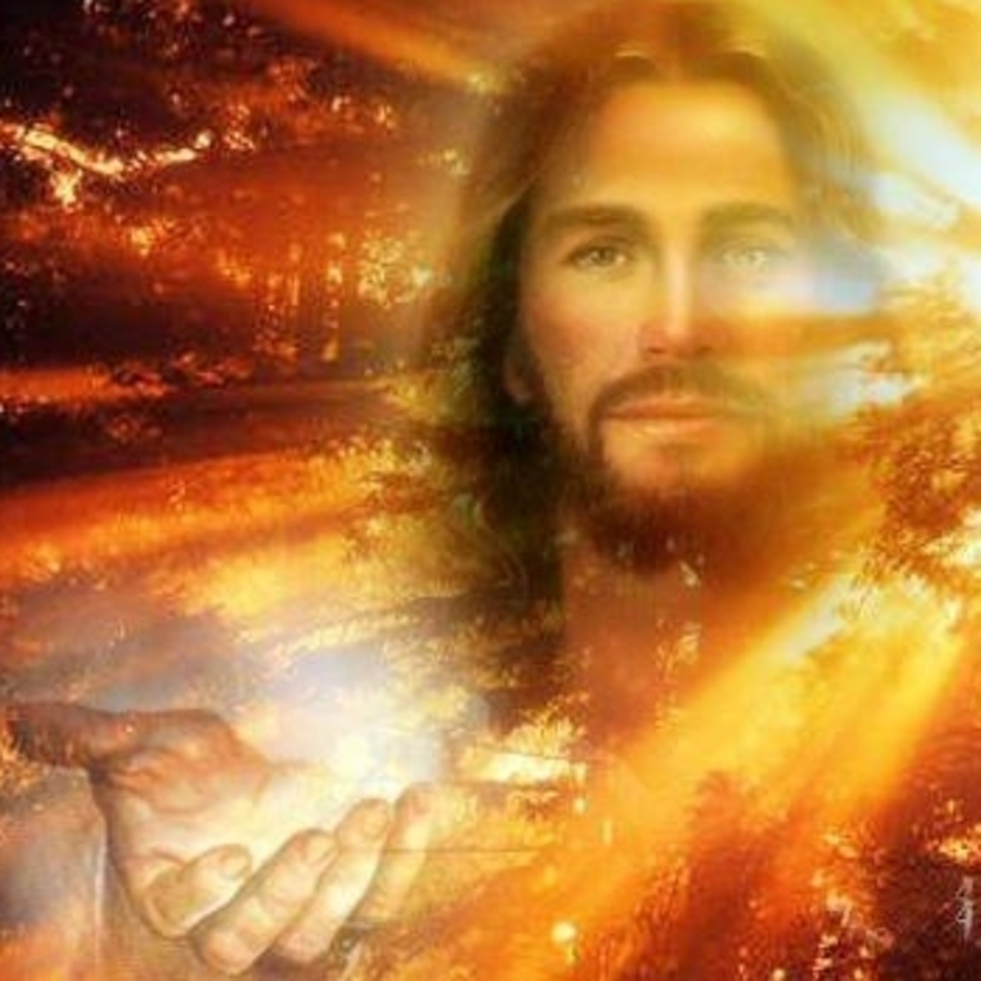 Conexión en Familia