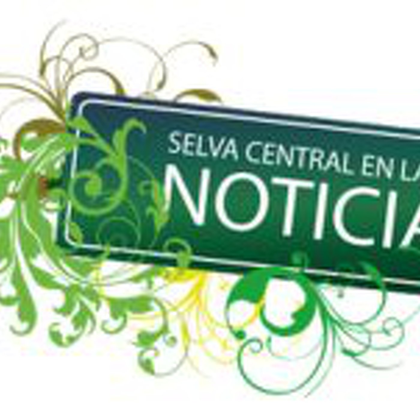 SELVA CENTRAL EN LA NOTICIA