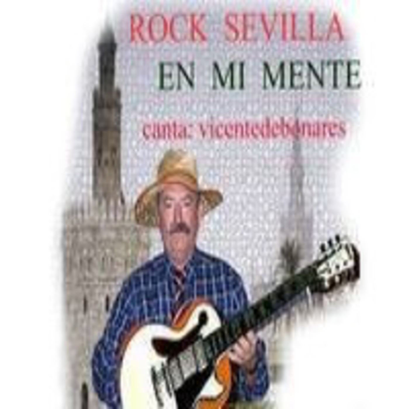 http://www.facebook.com/vicentedebonares