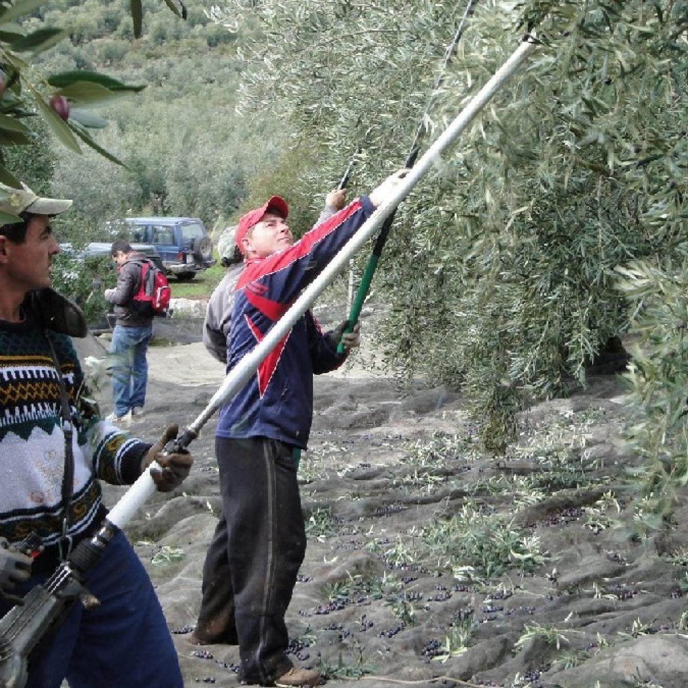 Provincia Informativos