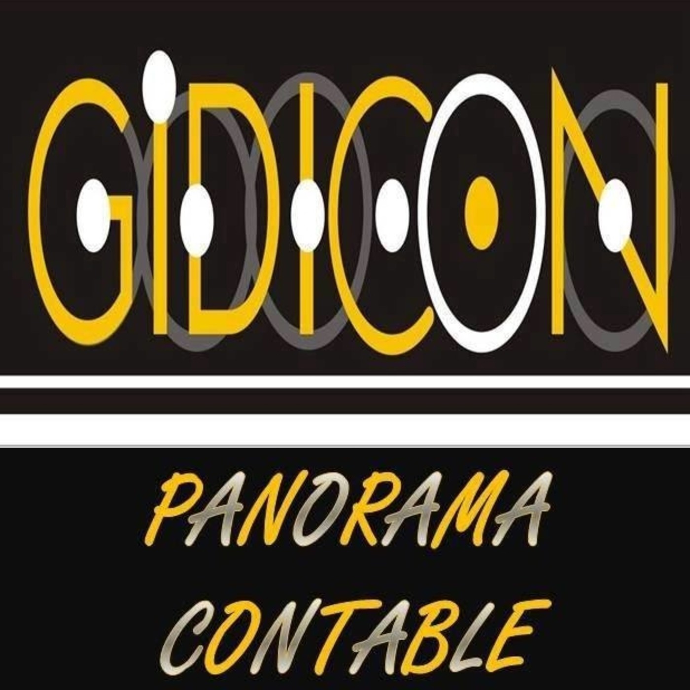 Panorama Contable