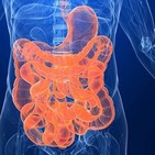 Salud intestinal: conoce tu microbiota y a sus enemigos