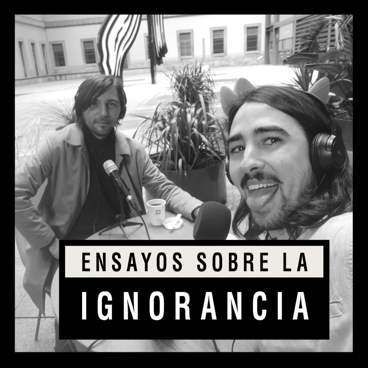 Ensayos sobre la ignorancia