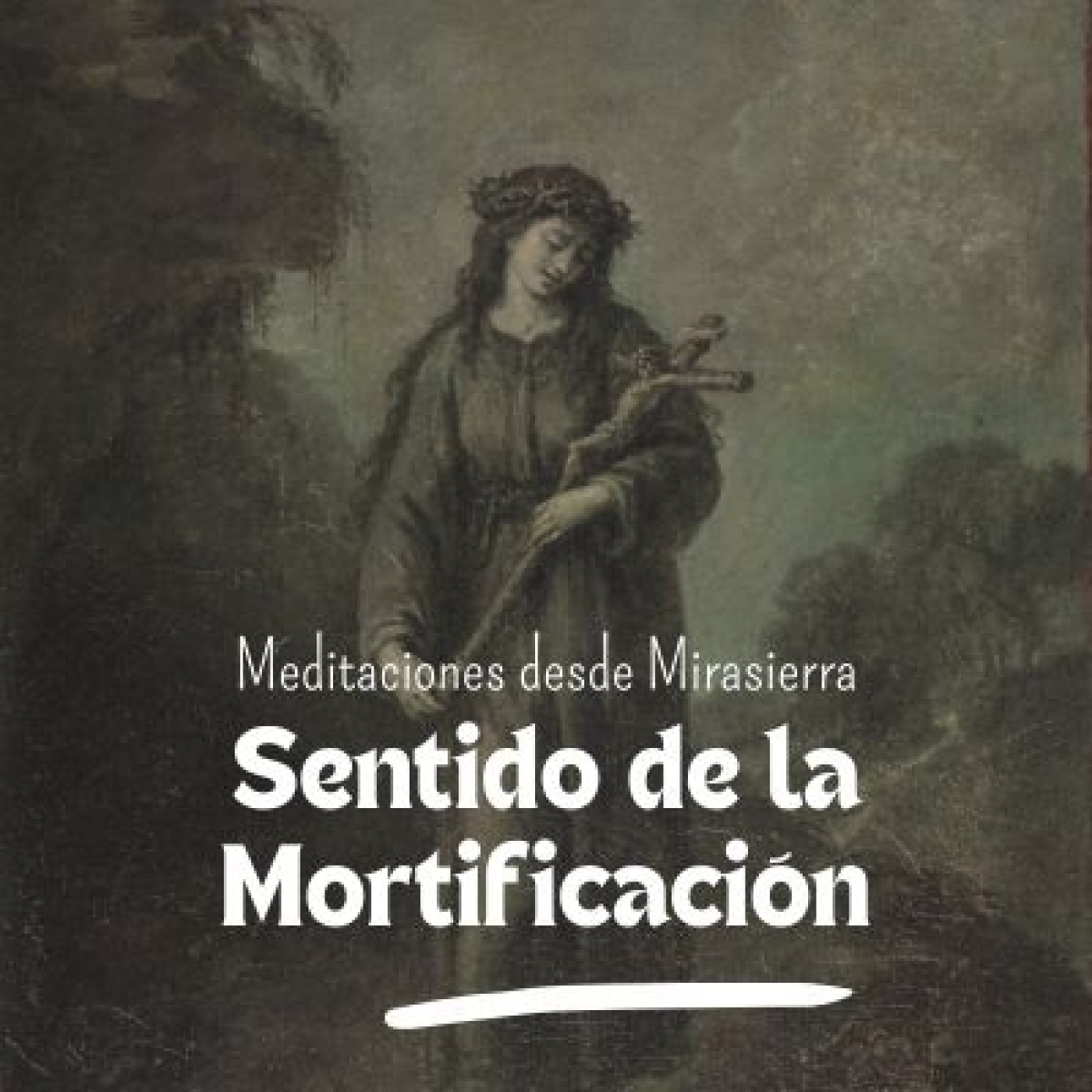 Meditaciones desde Mirasierra