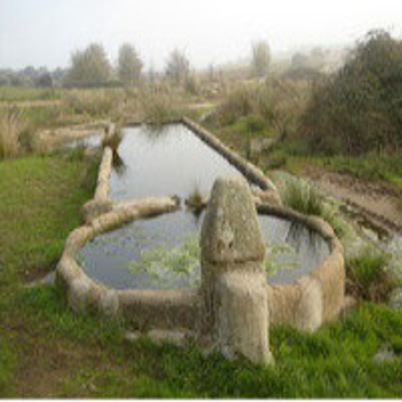 Las Moradas o Castillo Interior, IV Moradas Cap. 1 y 2 (06) Las Moradas o Castillo Interior, IV Moradas Cap. 1 y 2 (06)