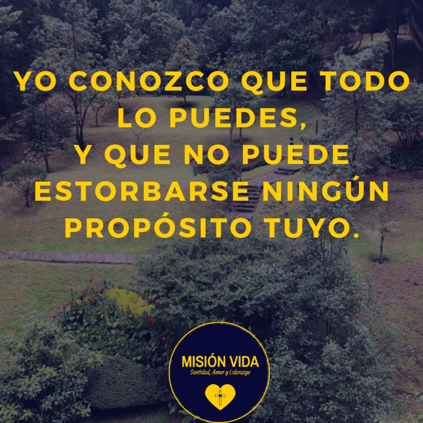 Mensaje al corazón