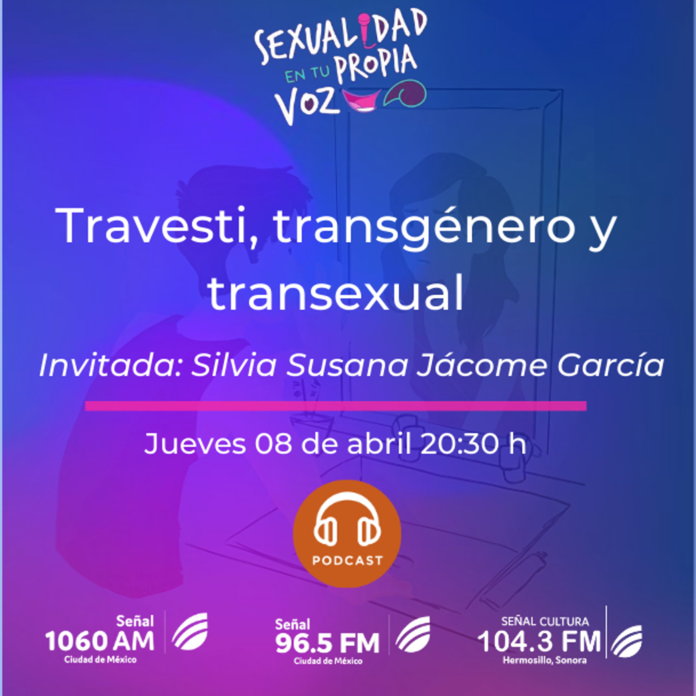 1213. Travesti, transgénero y transexual episode artwork