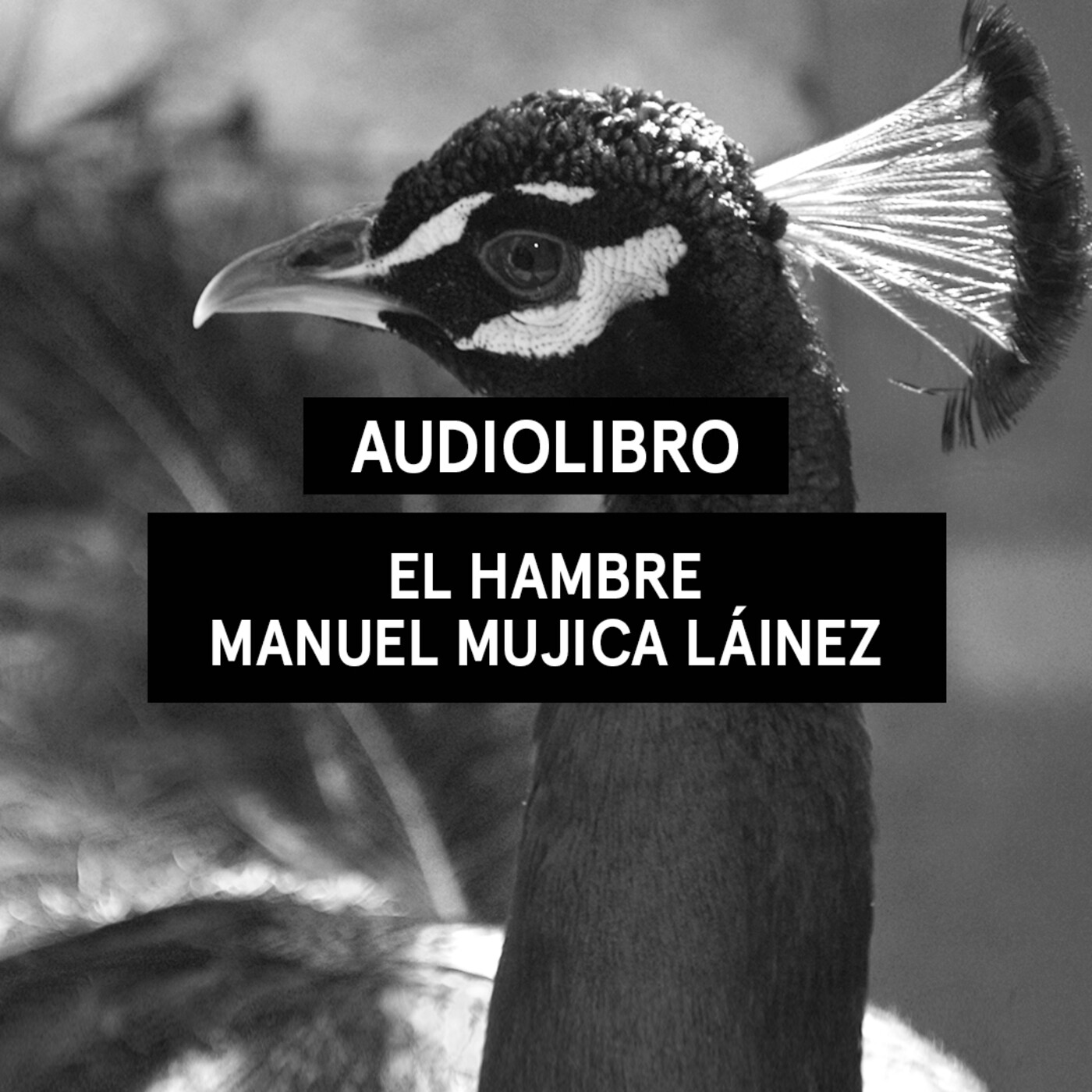 Audiolibros Por qué leer