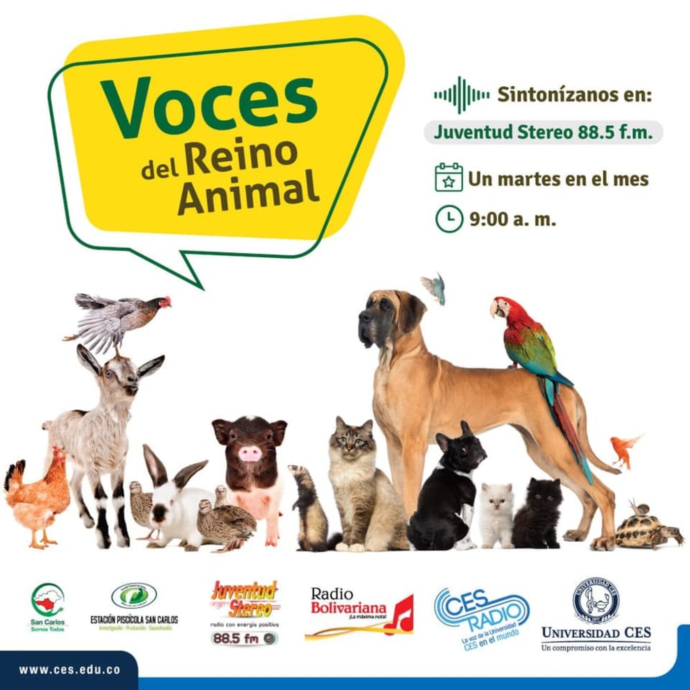 Voces del reino animal