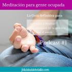 Podcast #1. Episodio 1 de la Guía para aprender a Meditar