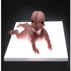 Ciencia Infusa: Splice, experimento mortal