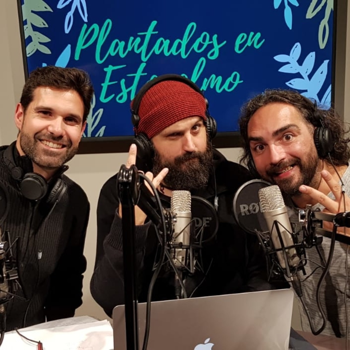 Plantados en Estocolmo 2x19: Los cruceros por el Báltico episode artwork