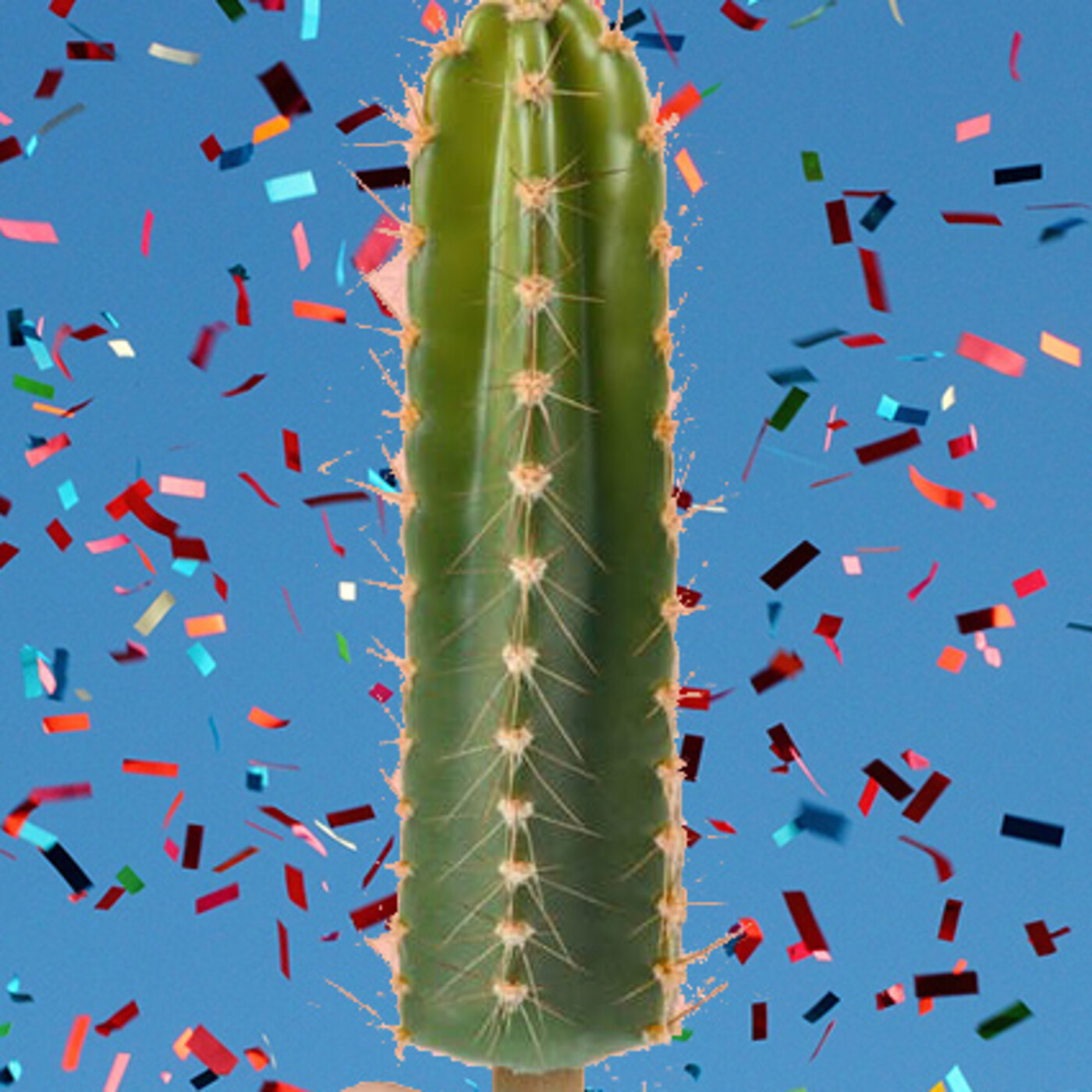 Cactus Confetti