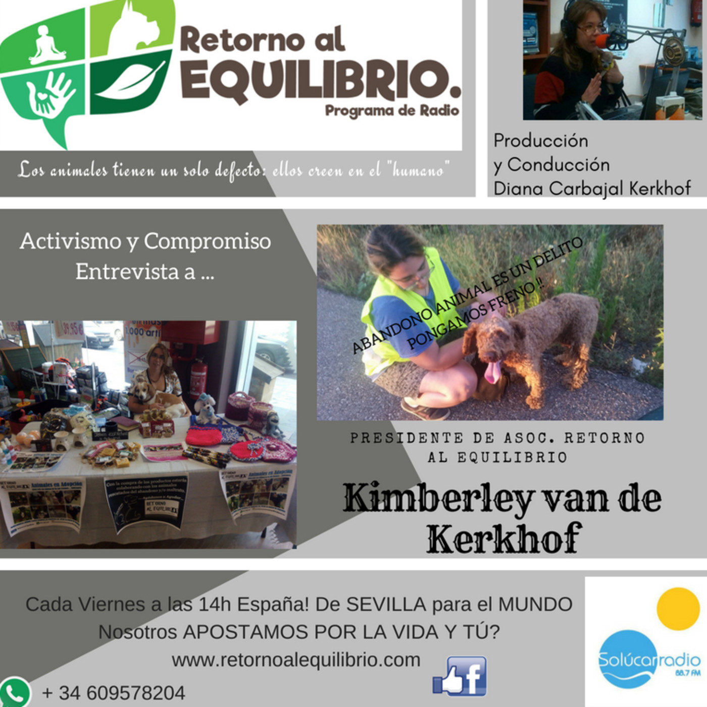 RETORNO AL EQUILIBRIO