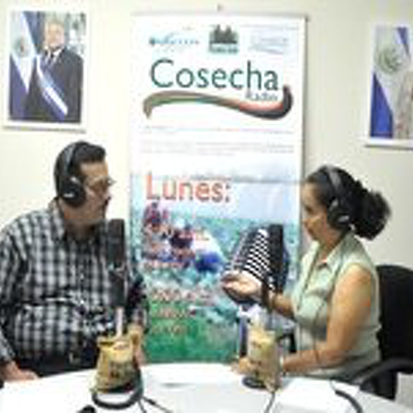 COSECHA RADIO - PODCAST