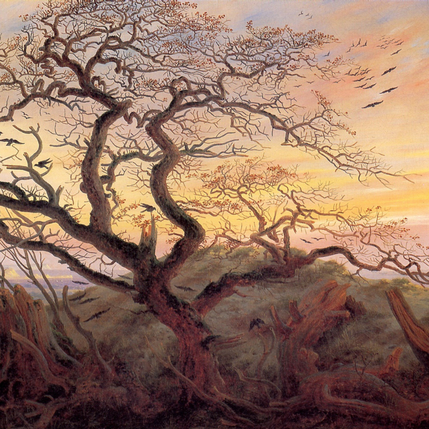 Entre el Arte y el Criterio de Caspar Friedrich episode artwork