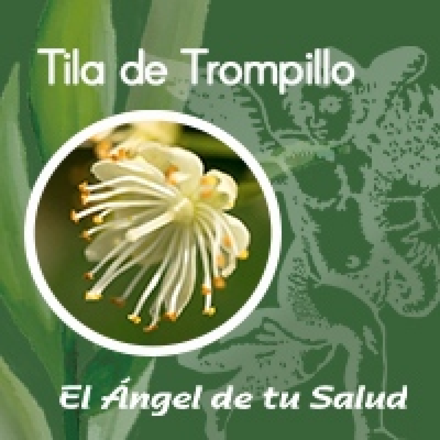 El Ángel de tu Salud - Tila de Trompillo** episode artwork
